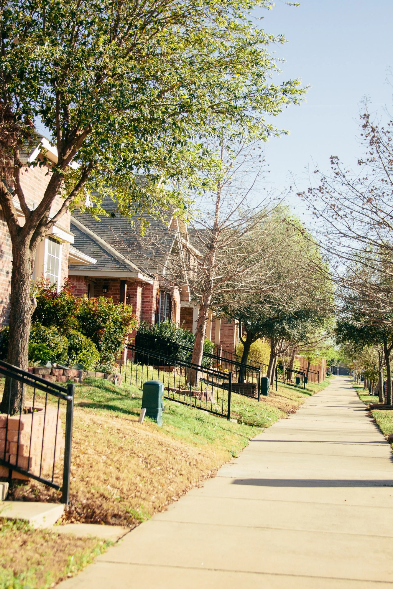 neighborhood-houses-along-the-street