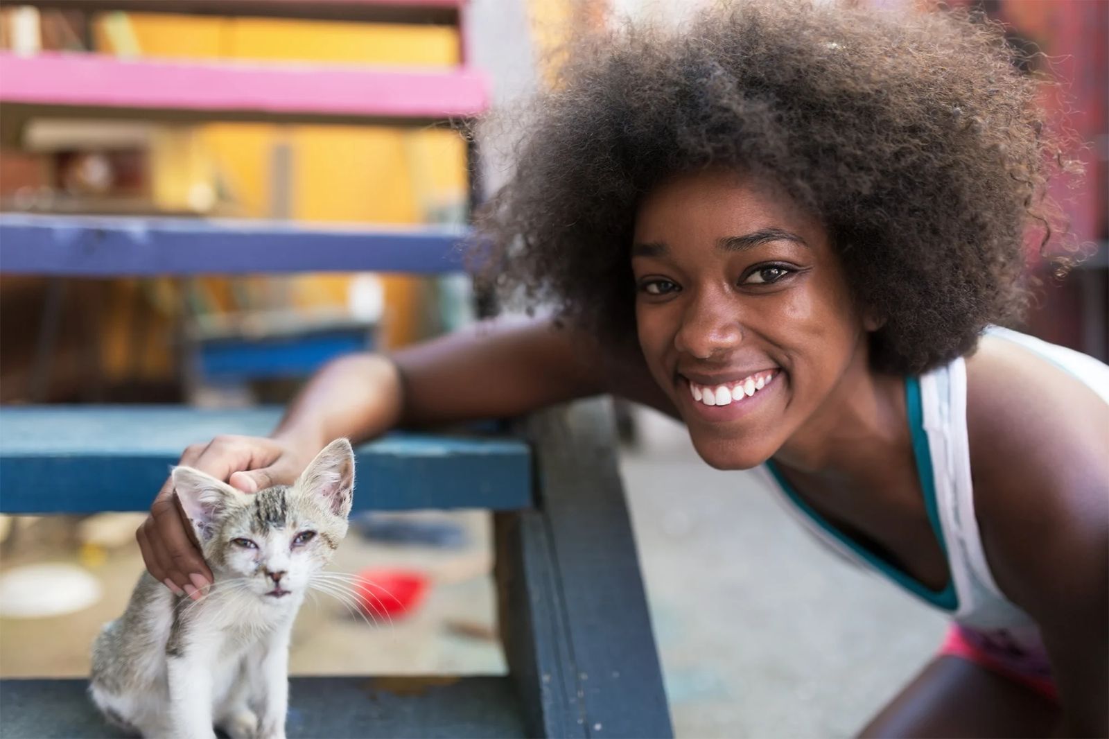 Afro_20woman_20with_20cat Afro_20woman_20with_20cat