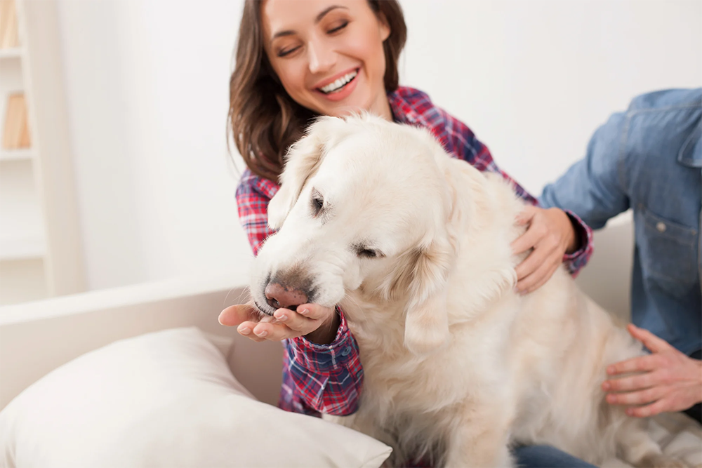 Cheerful_20husband_20and_20wife_20with_20pretty_20pet Cheerful_20husband_20and_20wife_20with_20pretty_20pet